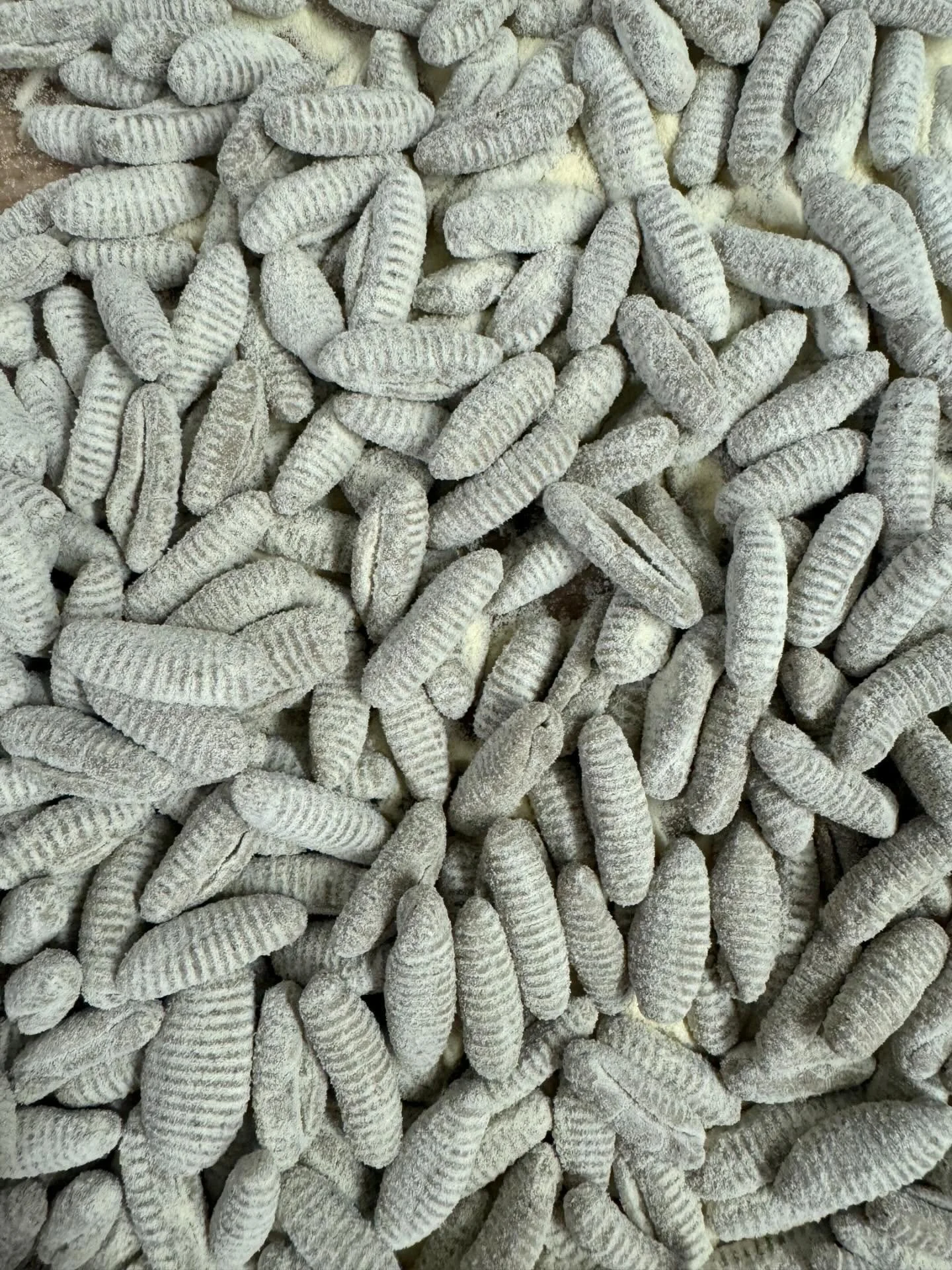 Sunflower meal cavatelli. Fresh and nutty with a touch of mild sweetness.