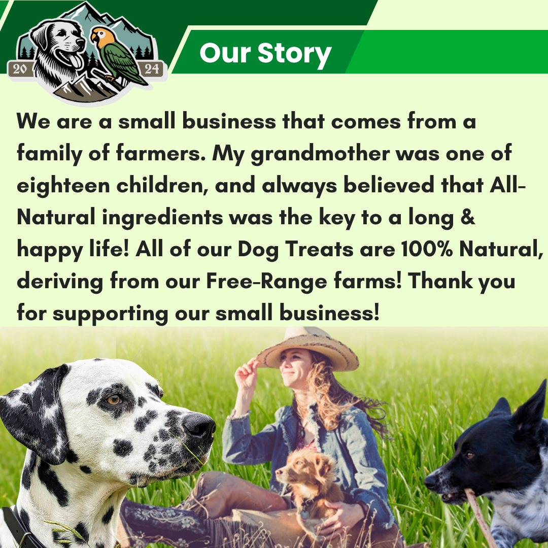 updated our story new dog .png