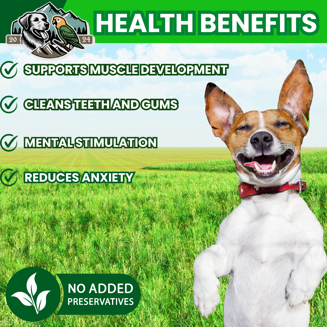 updated health ben.png