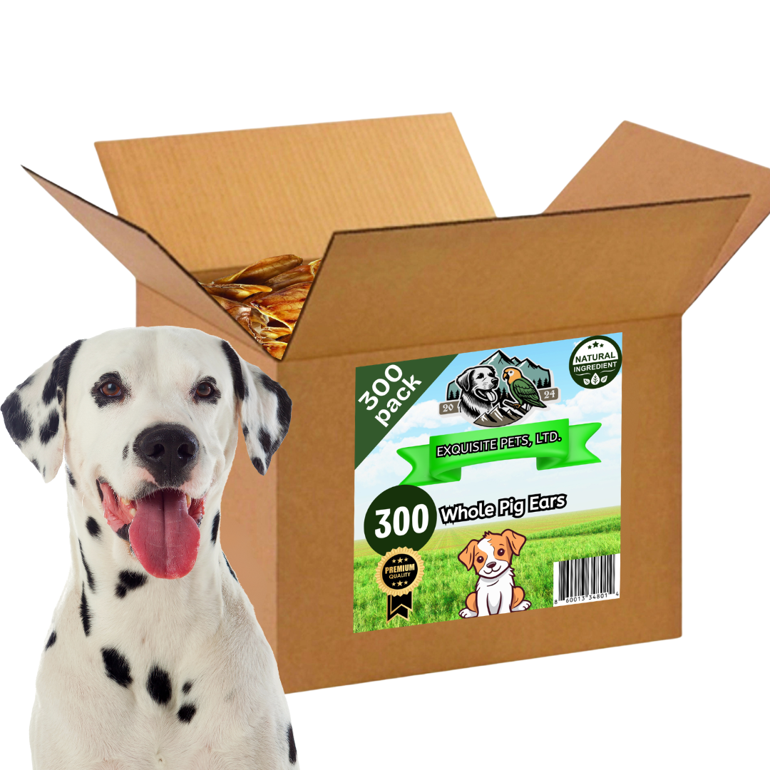 Exquisite Pets 300 Pack of Roasted Pig Ears for Dogs-Bulk All Natural, Brazilian Single-Ingredient Chews! Safe & Digestible-Full-Size Ears! Cleans Teeth & Gums. Aggressive Chewers. Treats for Dogs