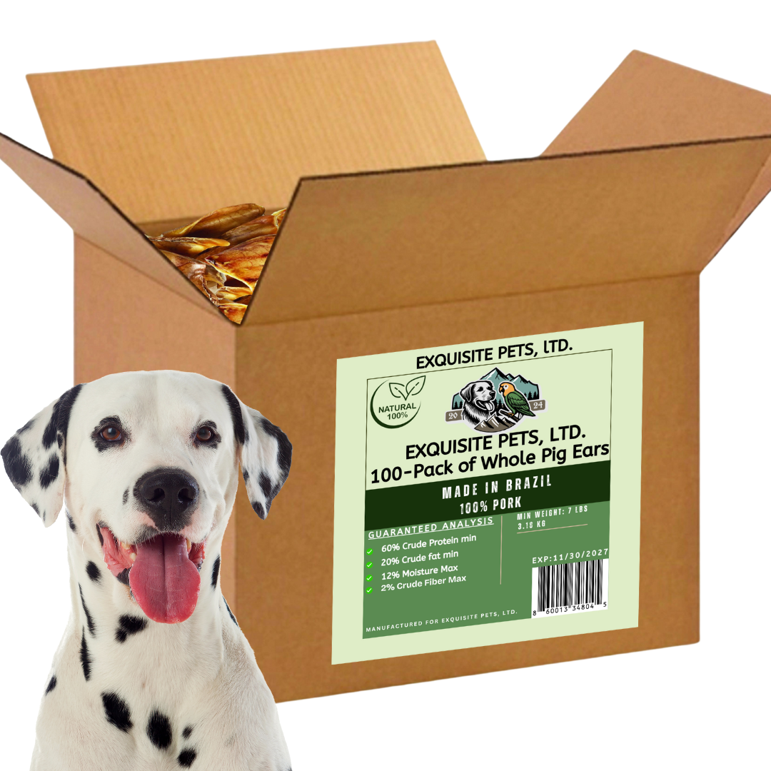 Exquisite Pets 100-Pack of Roasted Pig Ears for Dogs-Bulk All Natural, Brazilian Single-Ingredient Chews! Safe & Digestible-Full-Size Ears! Cleans Teeth & Gums. Aggressive Chewers. Treats for Dogs
