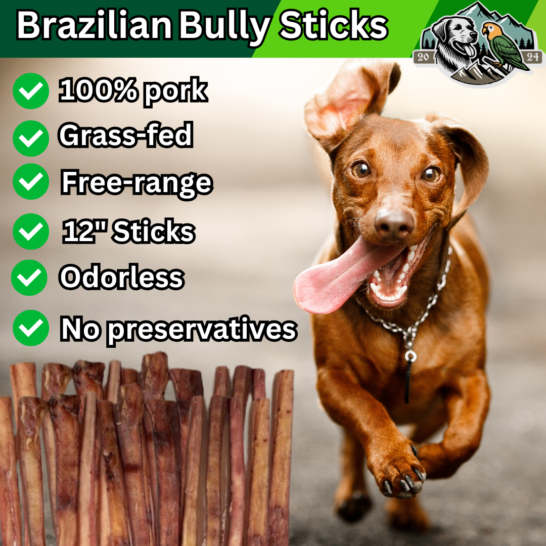 bullyyyyyyyyy updated running dog .png