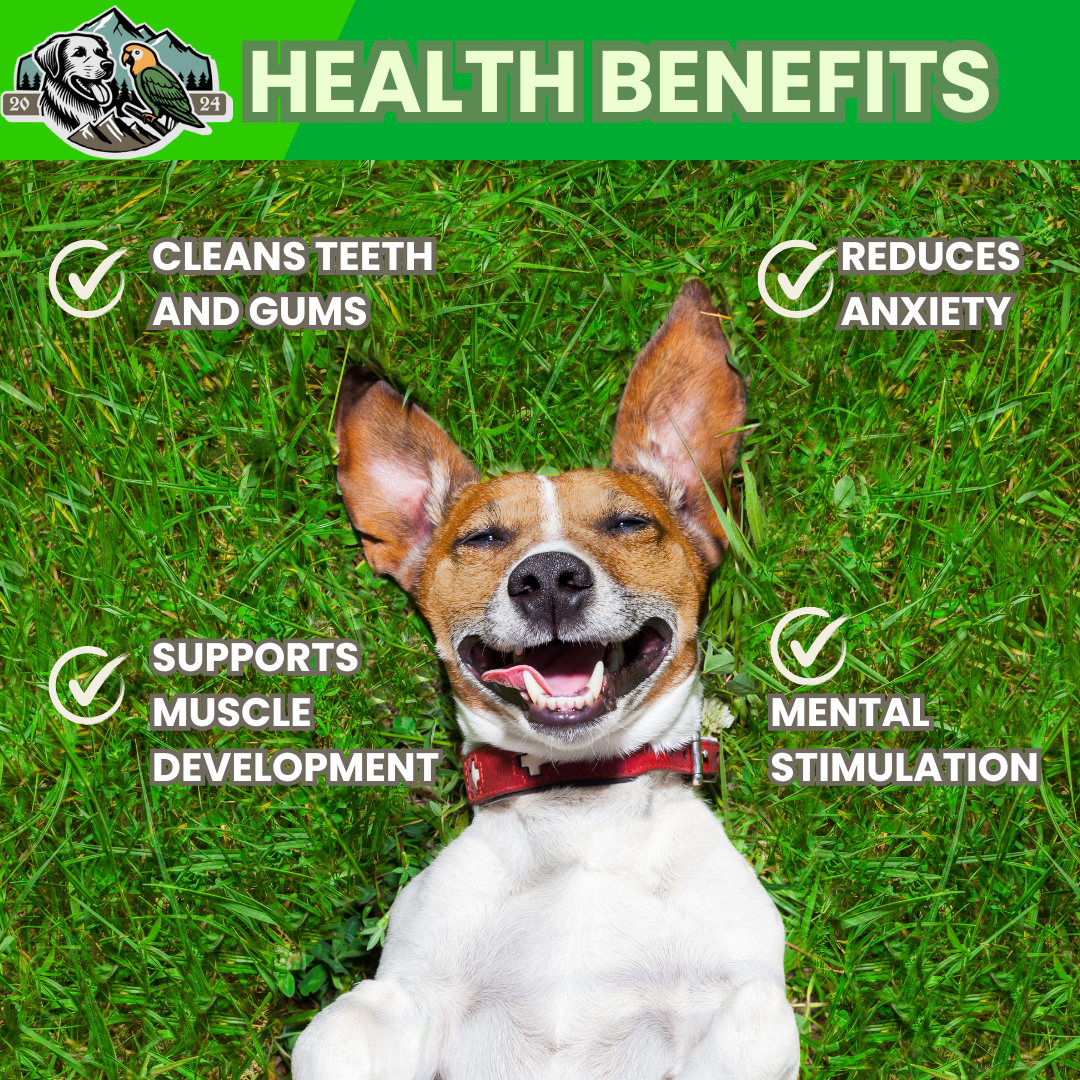 Health benefits updated.png
