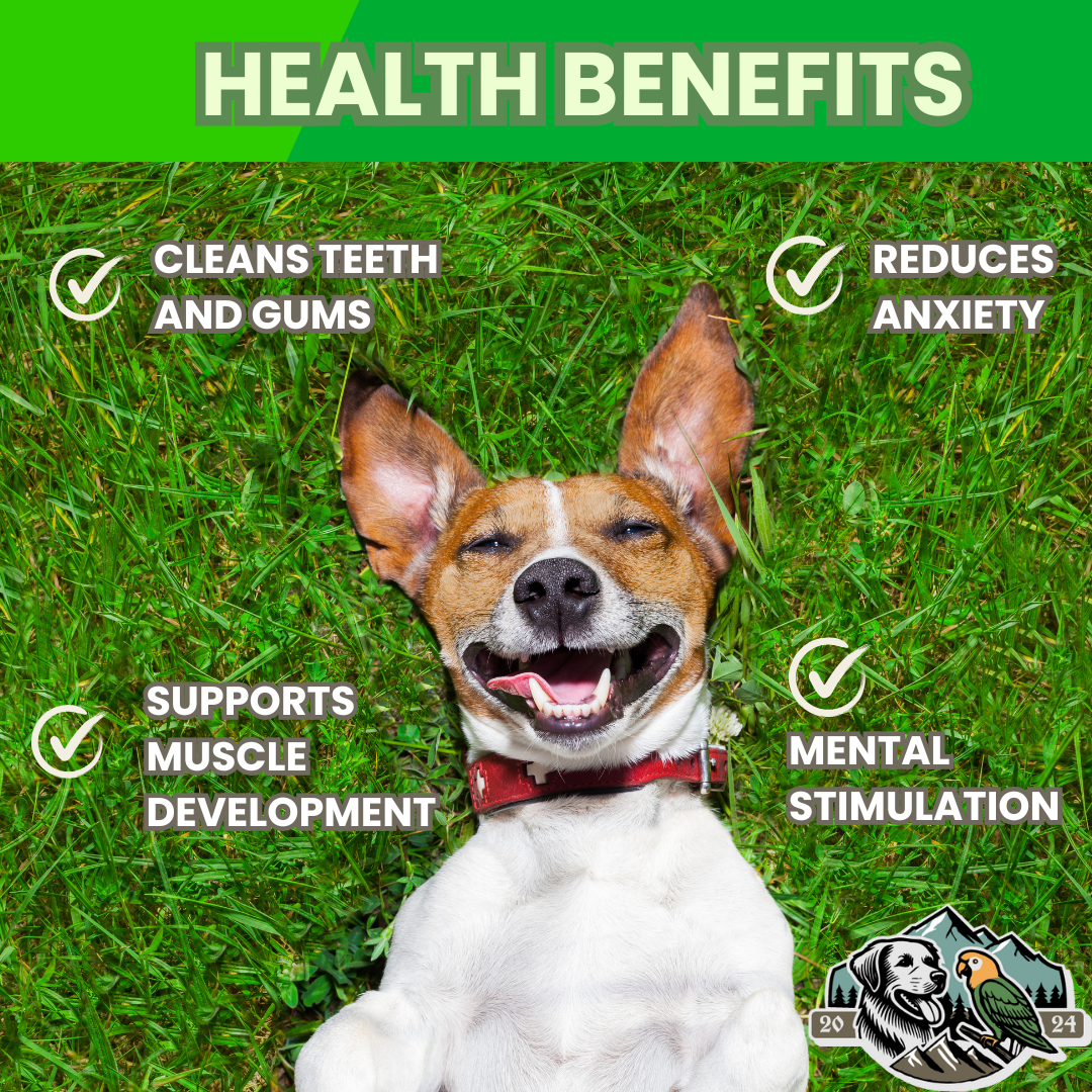 revised grass dog .png