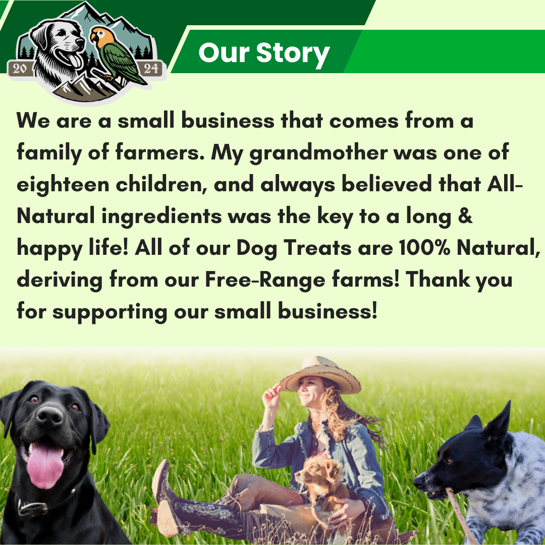 new mission statement .png