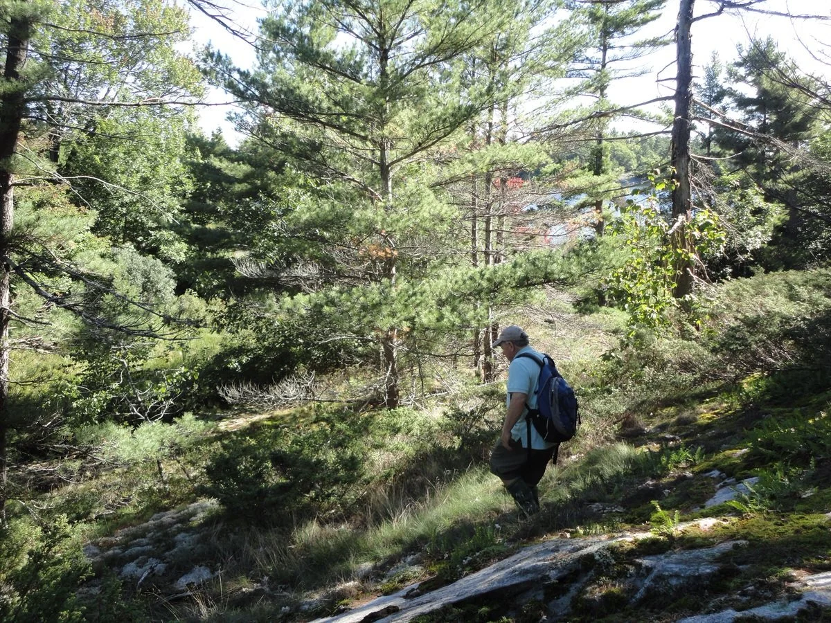 Grant Moose Bay Reserve
