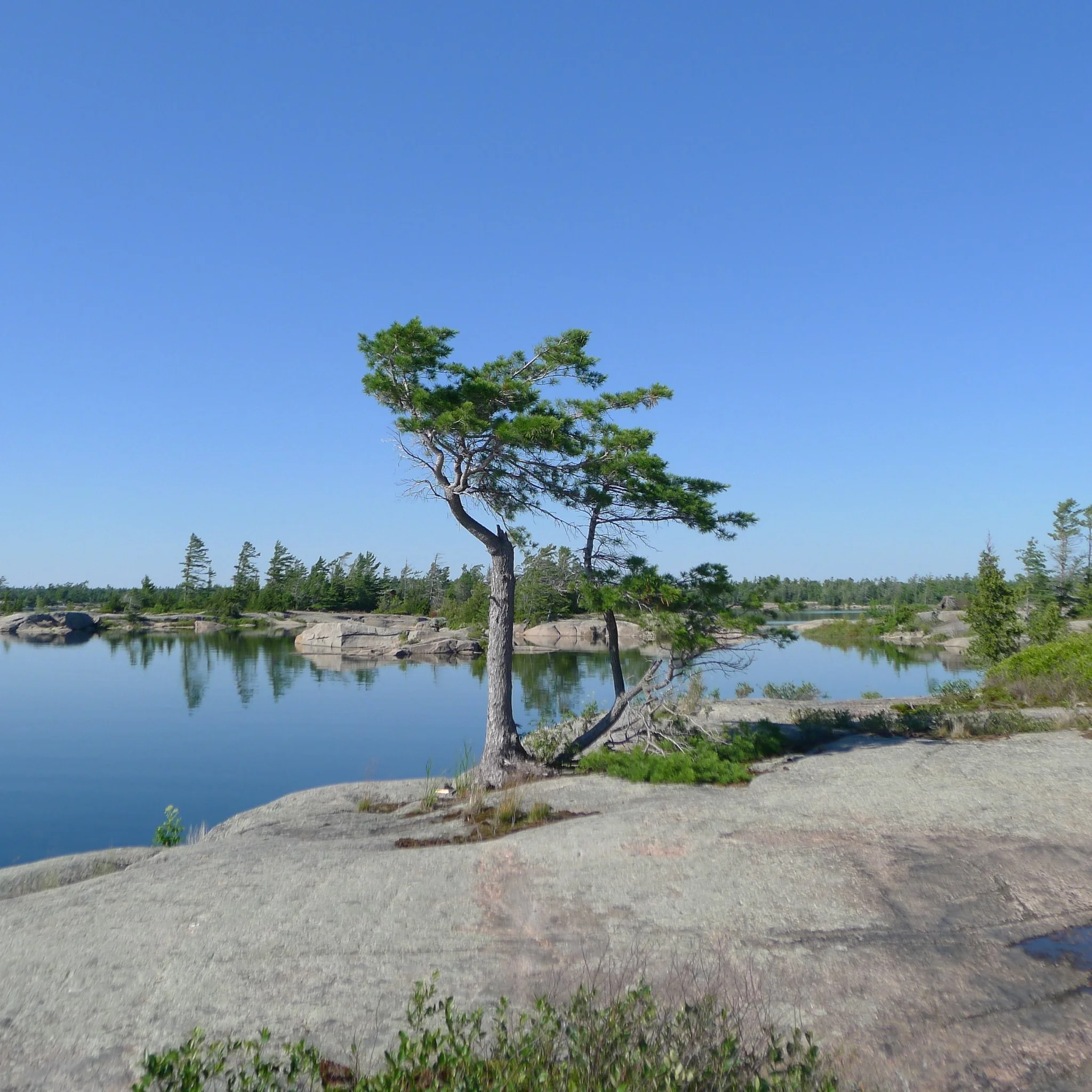 Nature Walk – American Camp