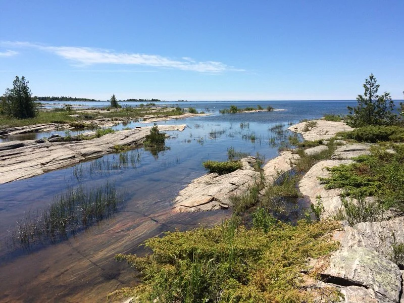 Thomson Reserve