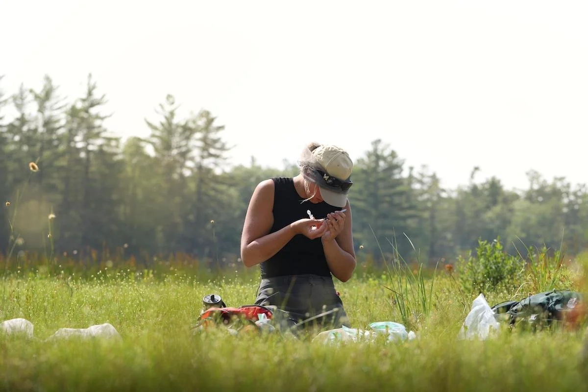 Bog Copper Study Update