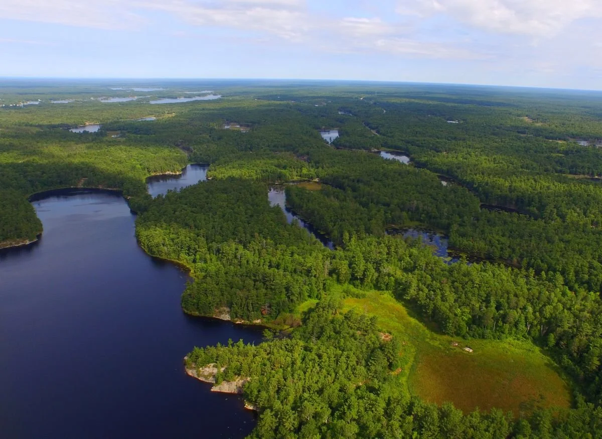 Georgian Bay Land Trust welcomes Government of Canada’s new Nature Strategy