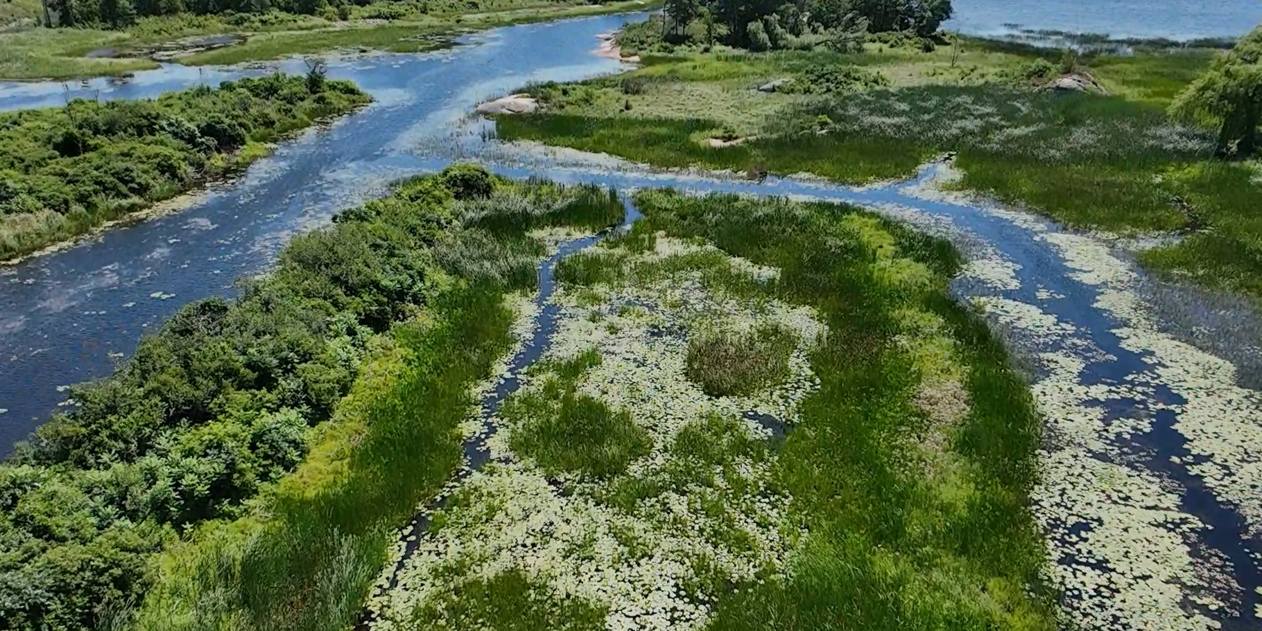 Port Severn Wetlands expanded with 7-acre land donation