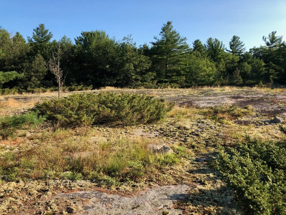 Roberts Island Reserve
