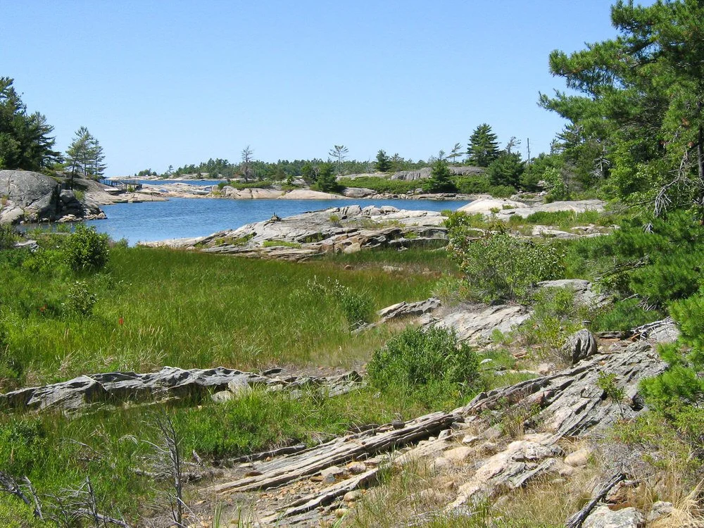 Martin Reach Reserve