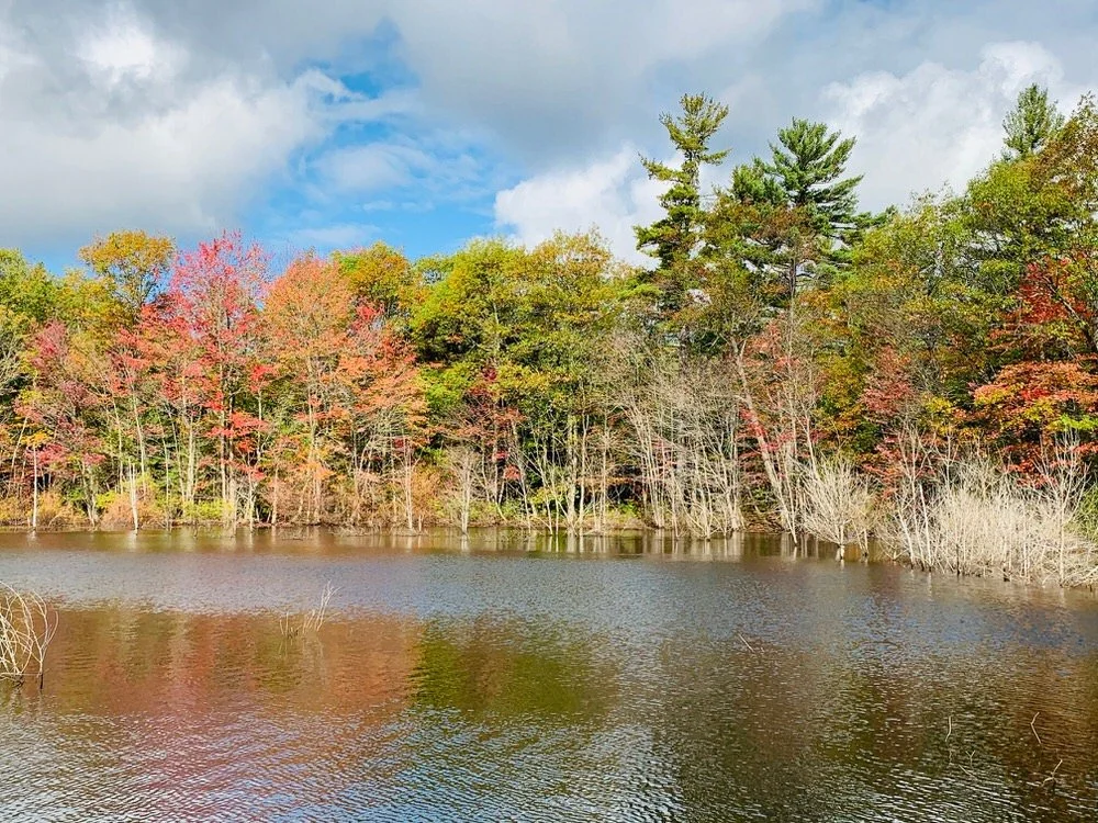 Halpenny Easement