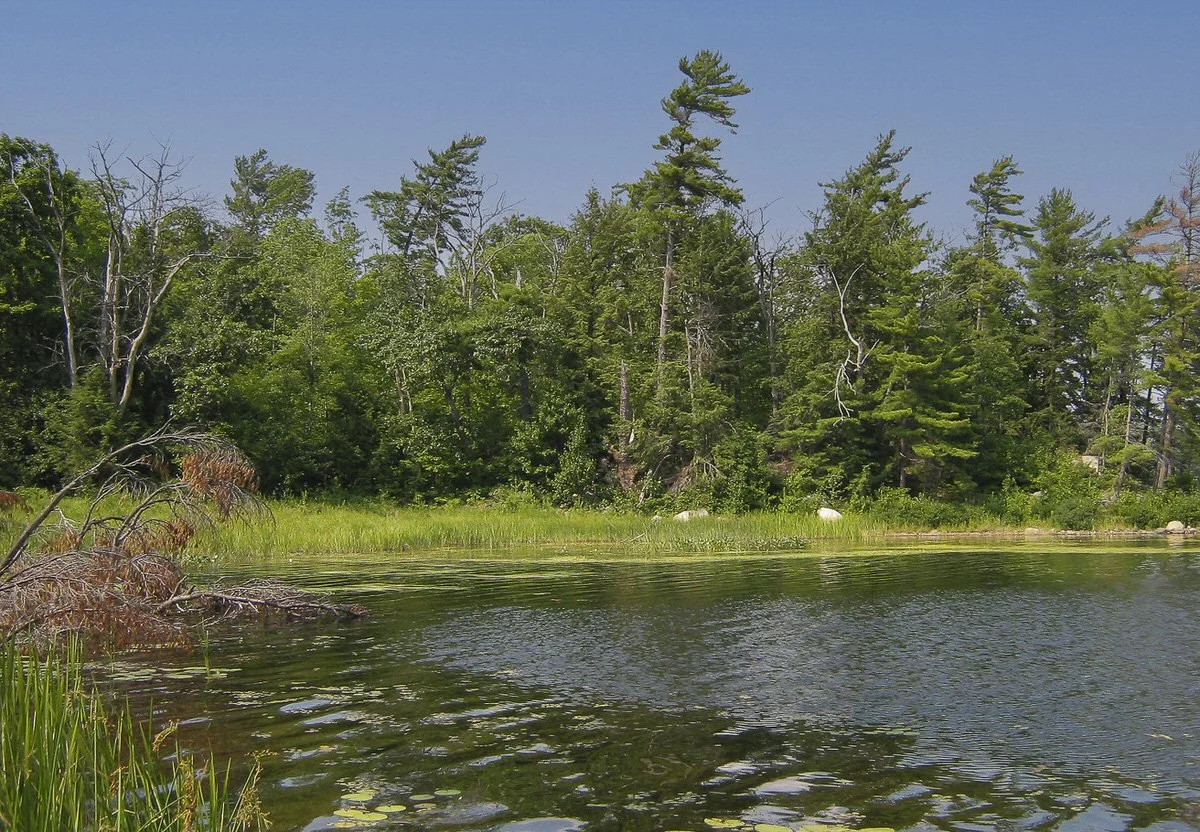 Jean G. Northey Conservation Reserve