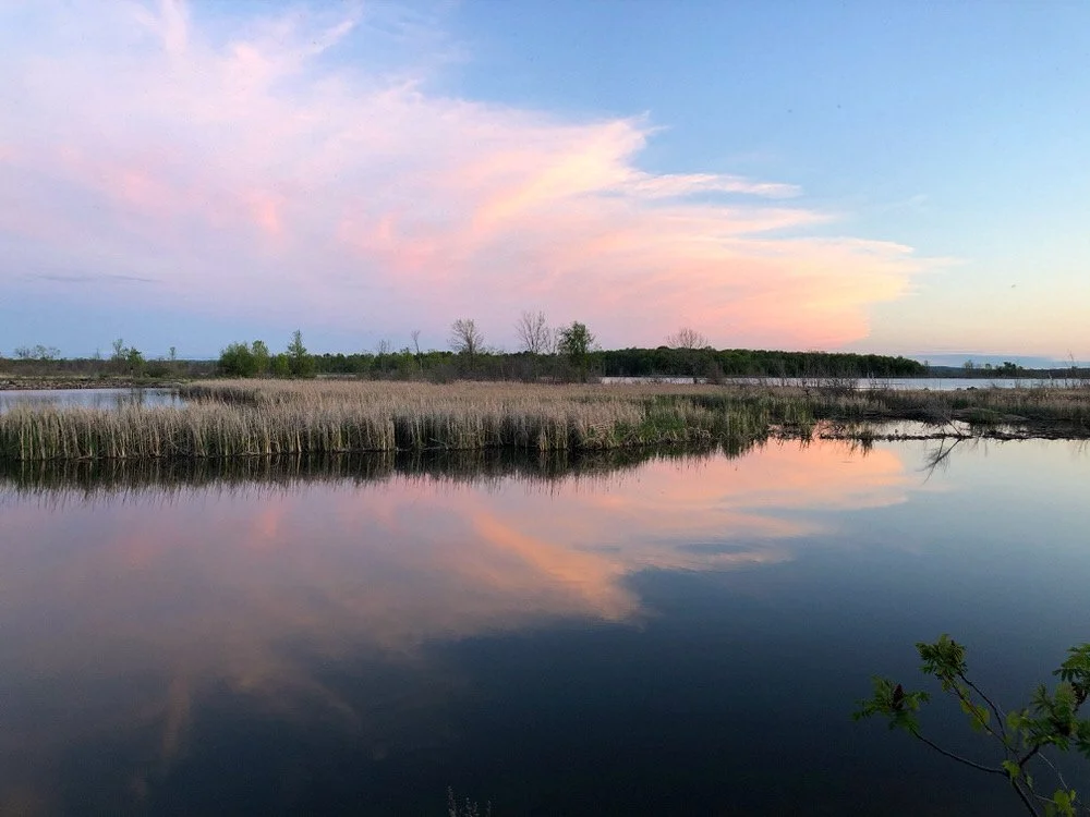 Port Severn Wetlands