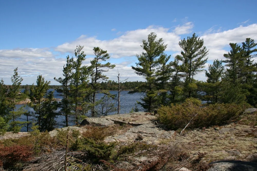 Nature Walk – Rattlesnake Island — Georgian Bay Land Trust