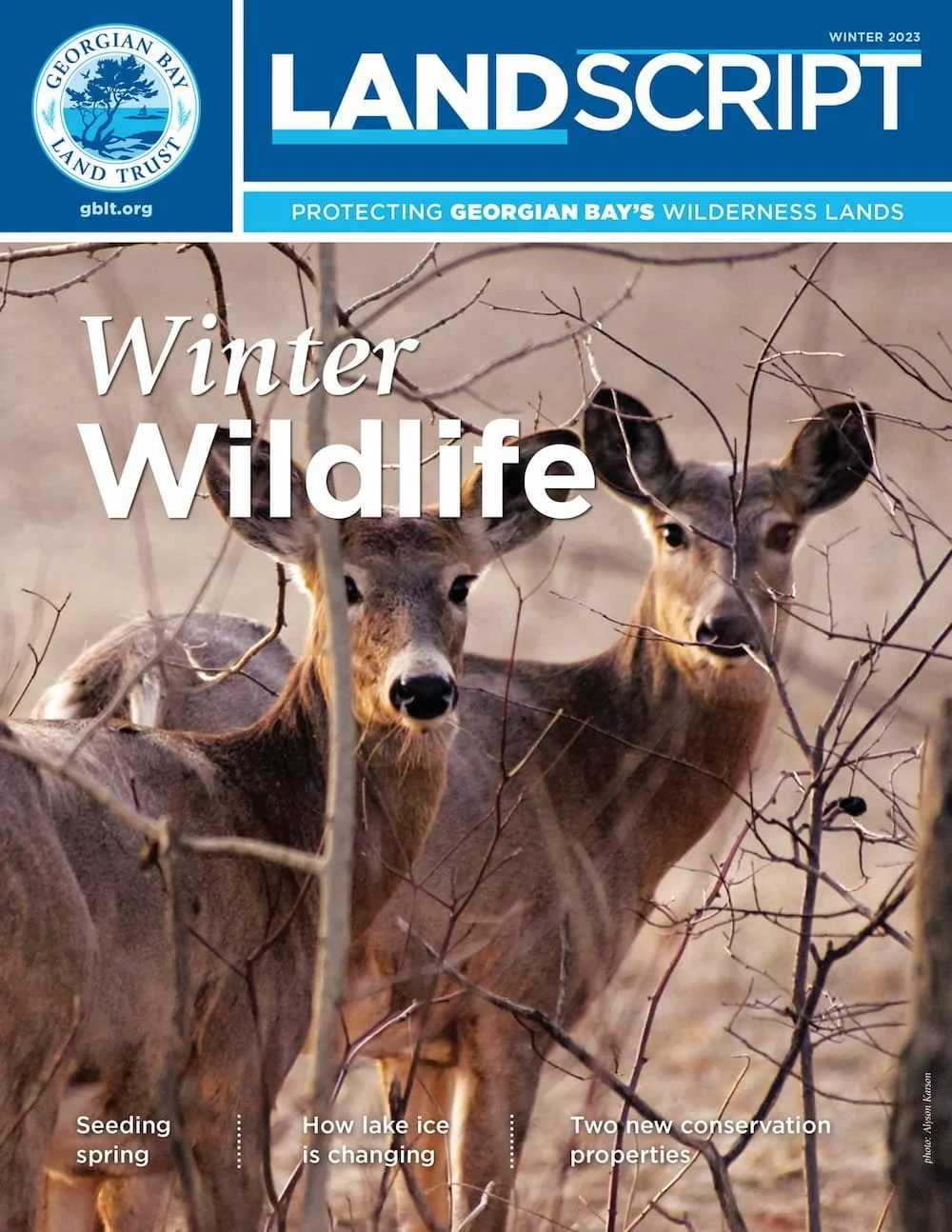 Winter 2023