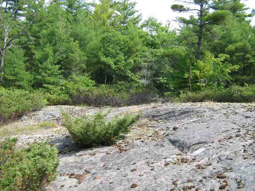 Kemerer Conservation Easement