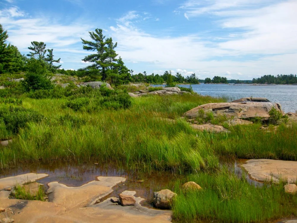Rogers Reserve