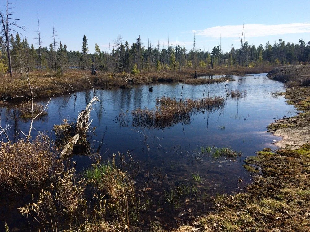 Tadenac Conservation Initiative