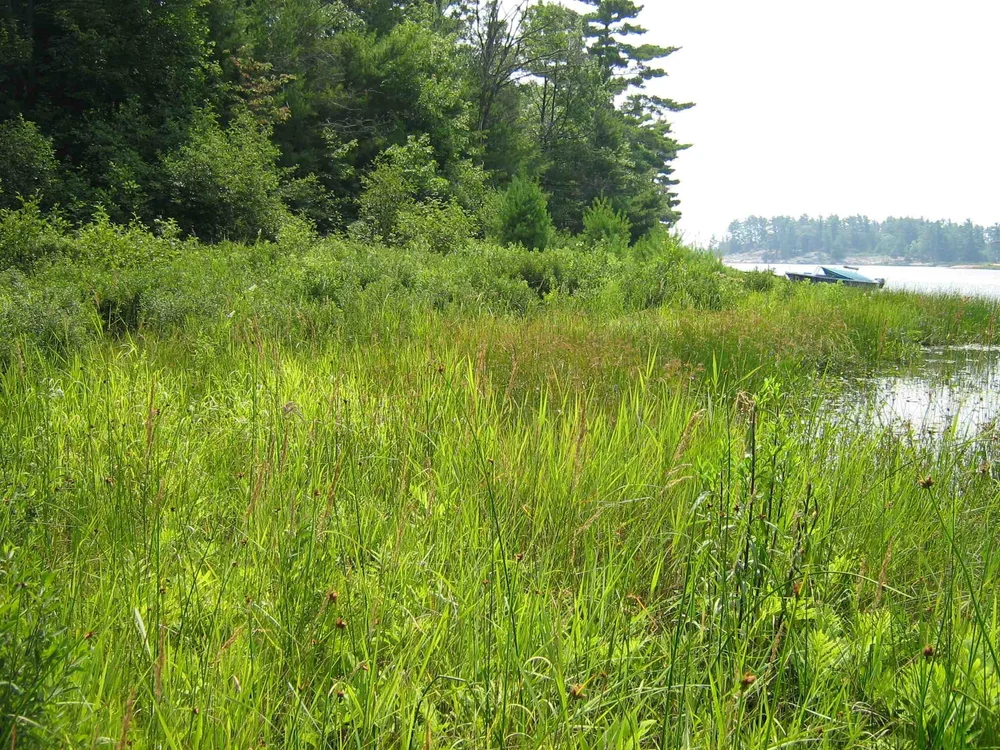 Celebrating 15 years of the Kemerer Conservation Easement — Georgian ...