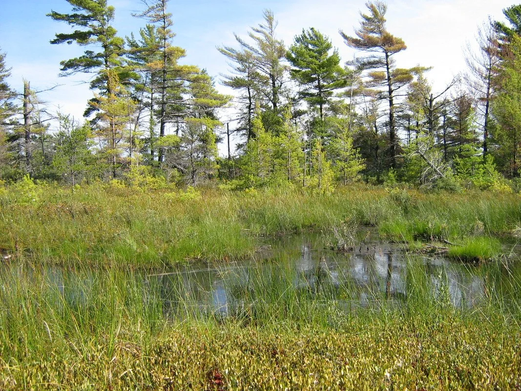 Laura Bay Reserve
