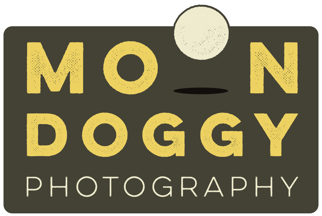 Moondoggy Photography