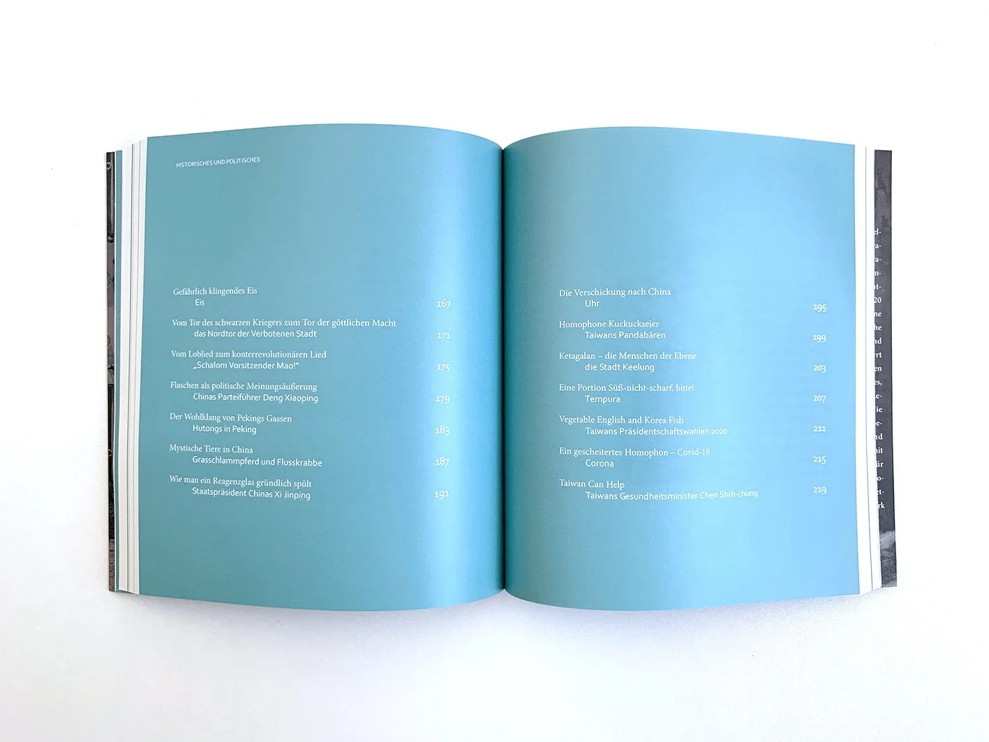 Elle creates-Bookdesign-4.jpg