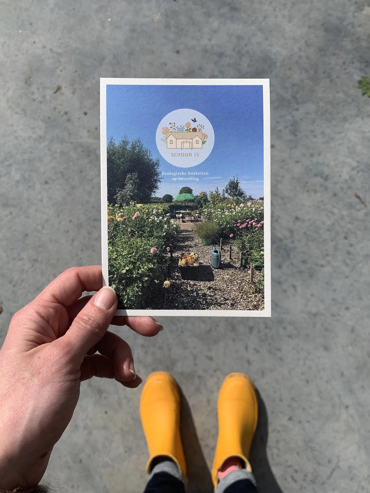 Schuur13-Giftcard-Elle creates.jpg