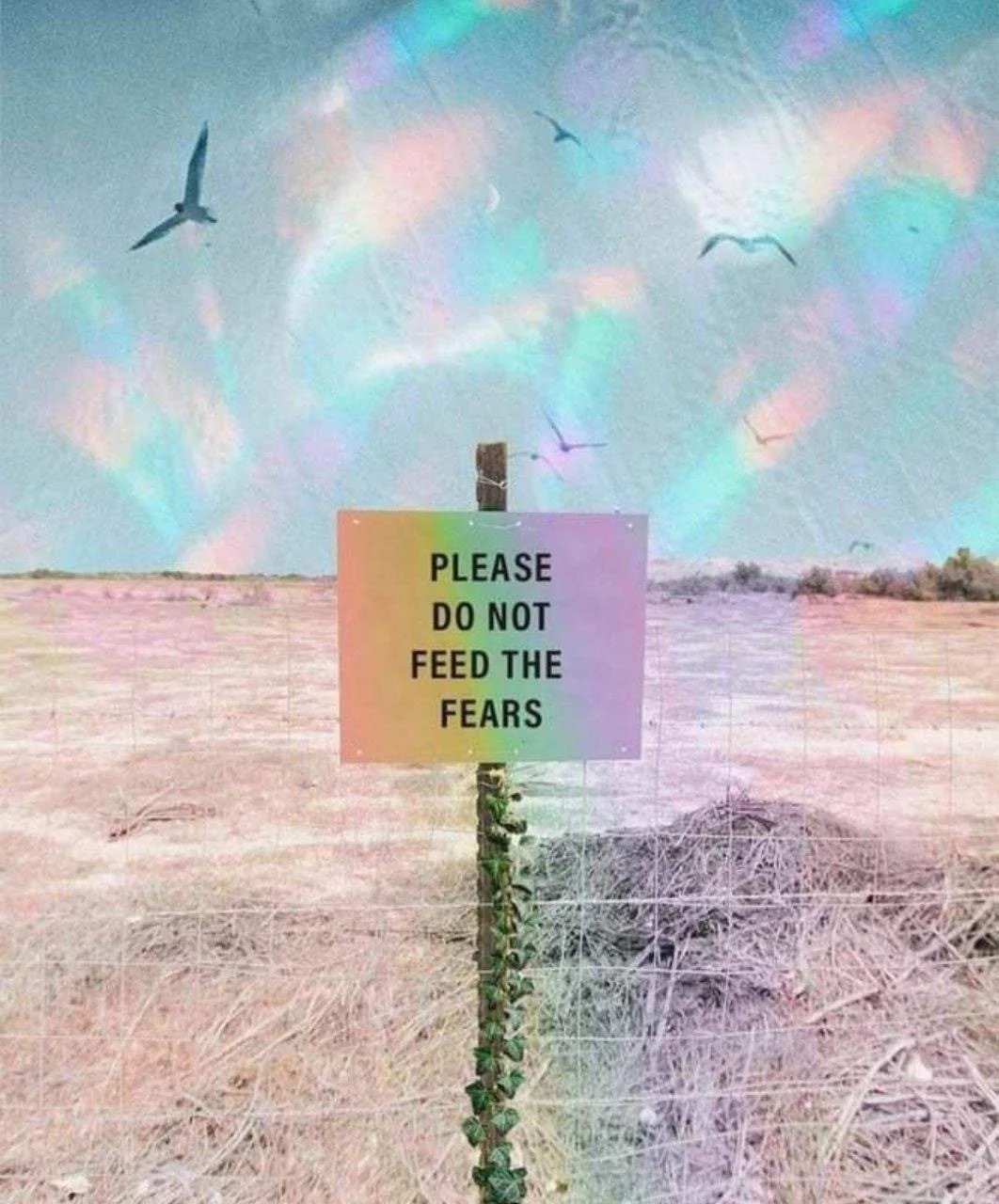 We don't fear silence.