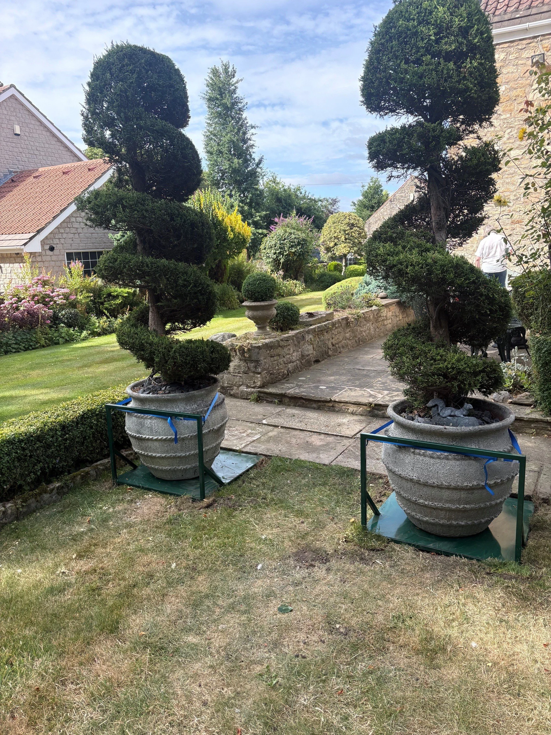 Plant Pot Supports To Stop Them Blowing In The Wind