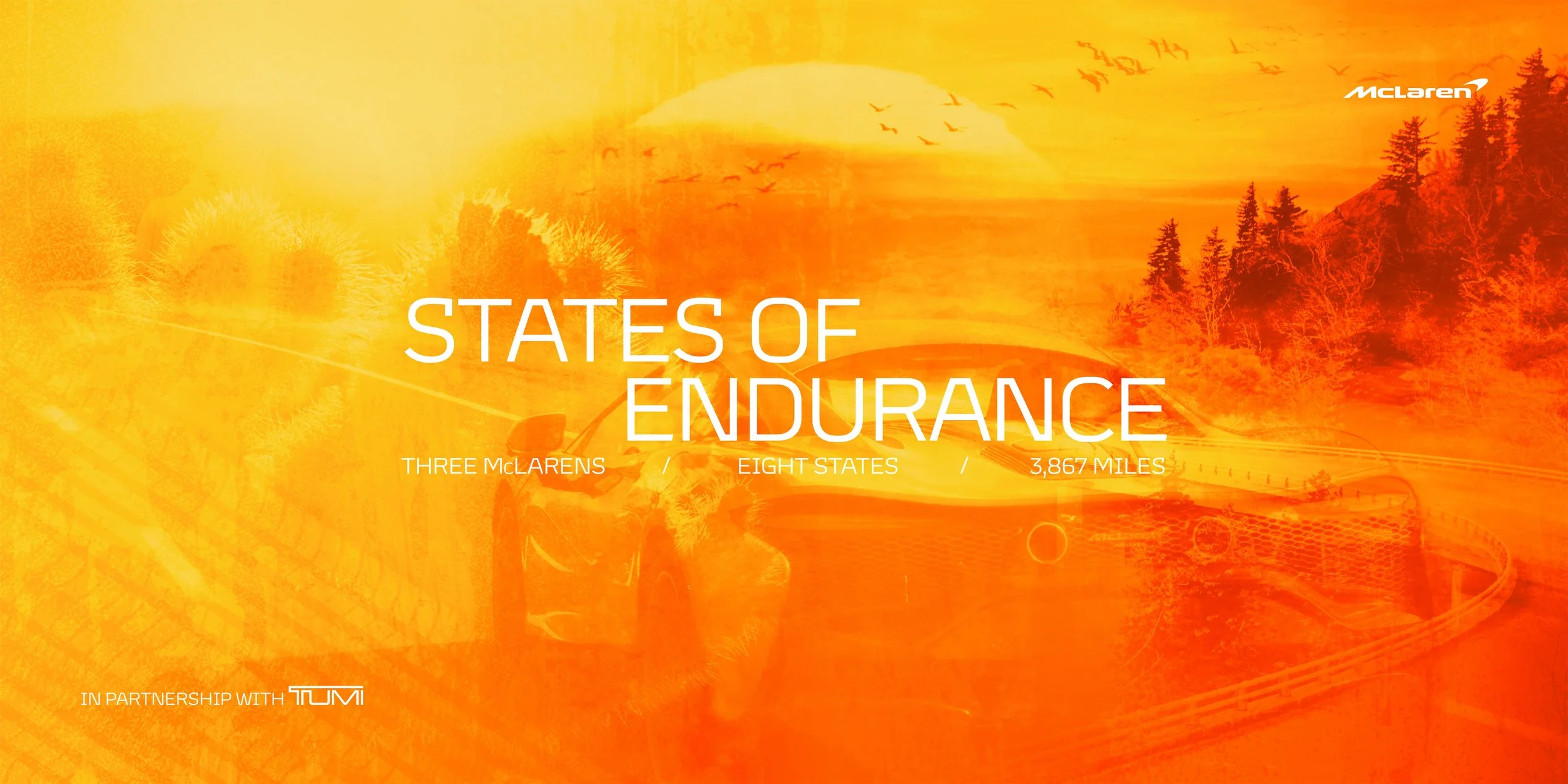States of Endurance Release Graphic-min.jpg