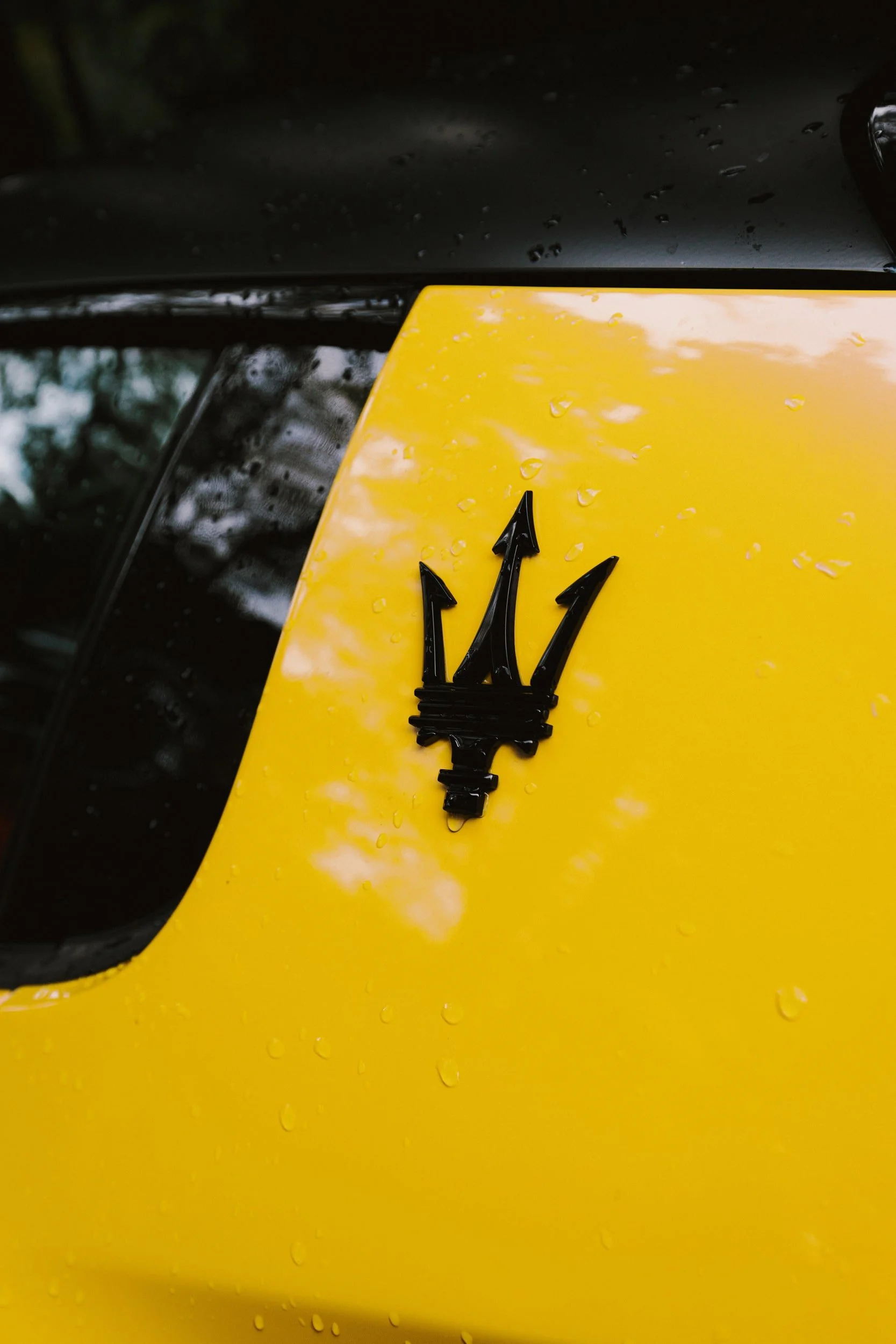 Maserati GT2 Stradale@Tutto Bene_Mottarone 2025 (28)-min.jpg
