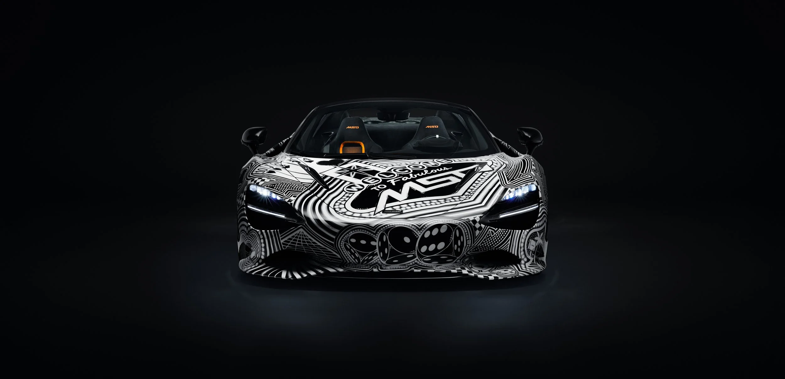 2. Project Viva head-on.jpg