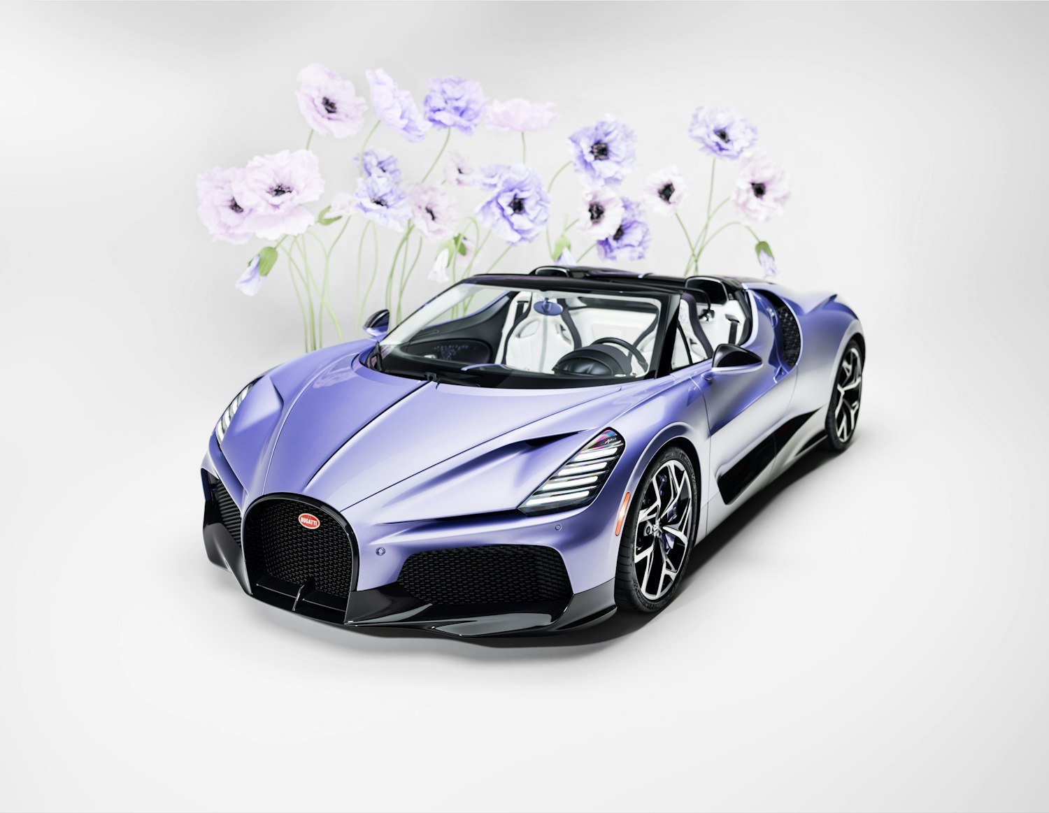 07 BUGATTI-Mistral-Sur-Mesure-Caroline.jpg