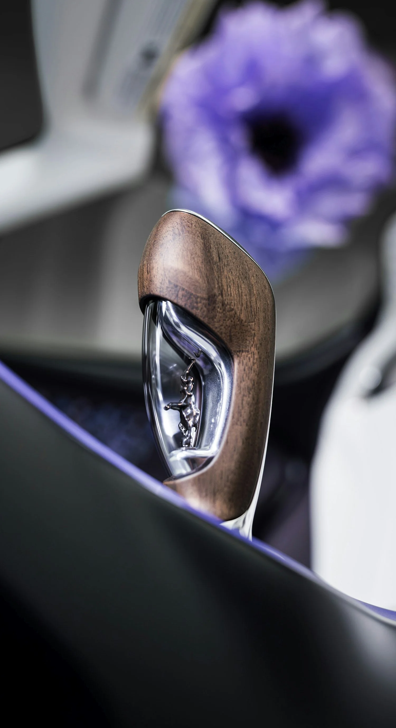 09 BUGATTI-Mistral-Sur-Mesure-Caroline.jpg