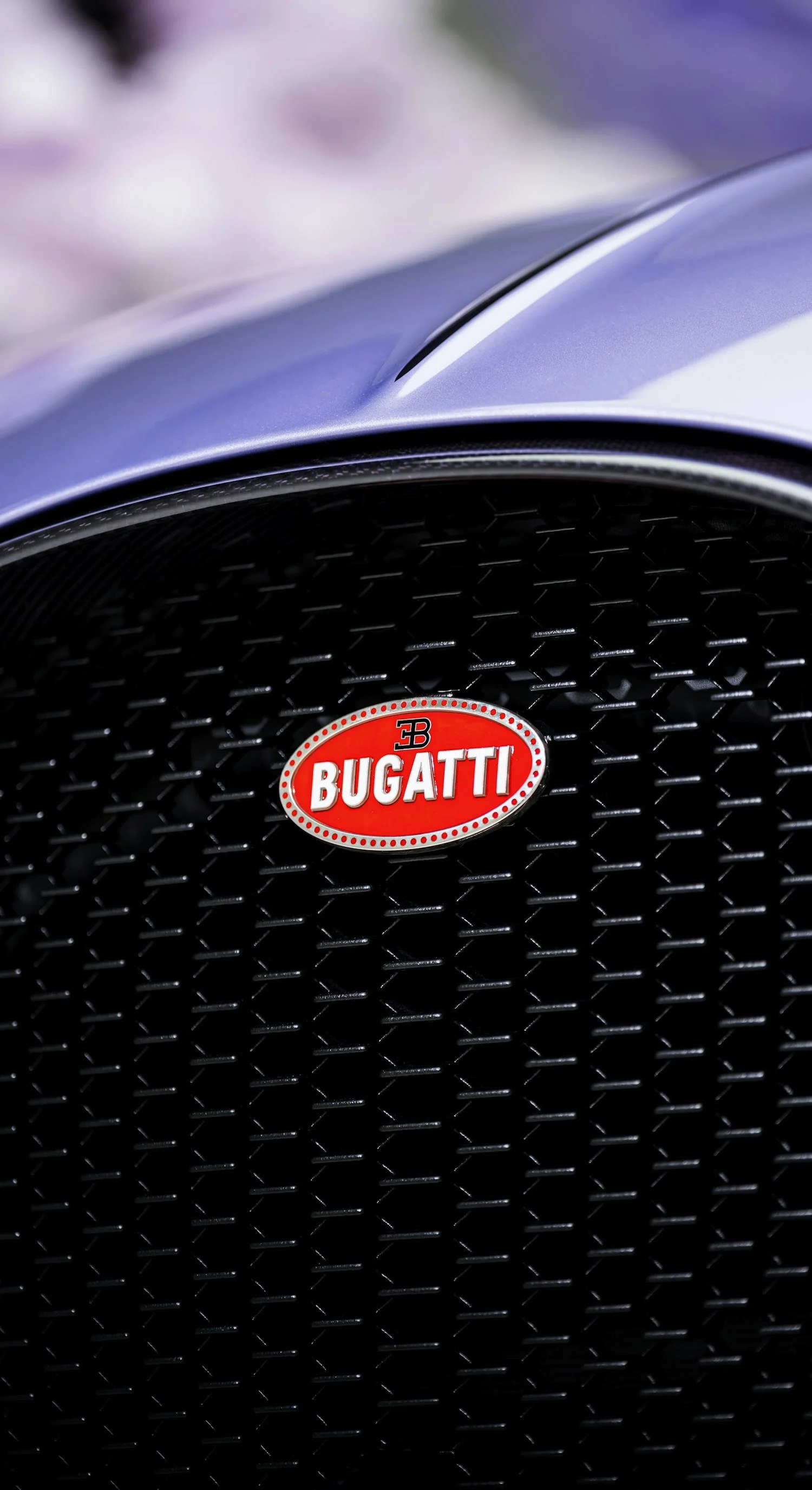 14 BUGATTI-Mistral-Sur-Mesure-Caroline.jpg