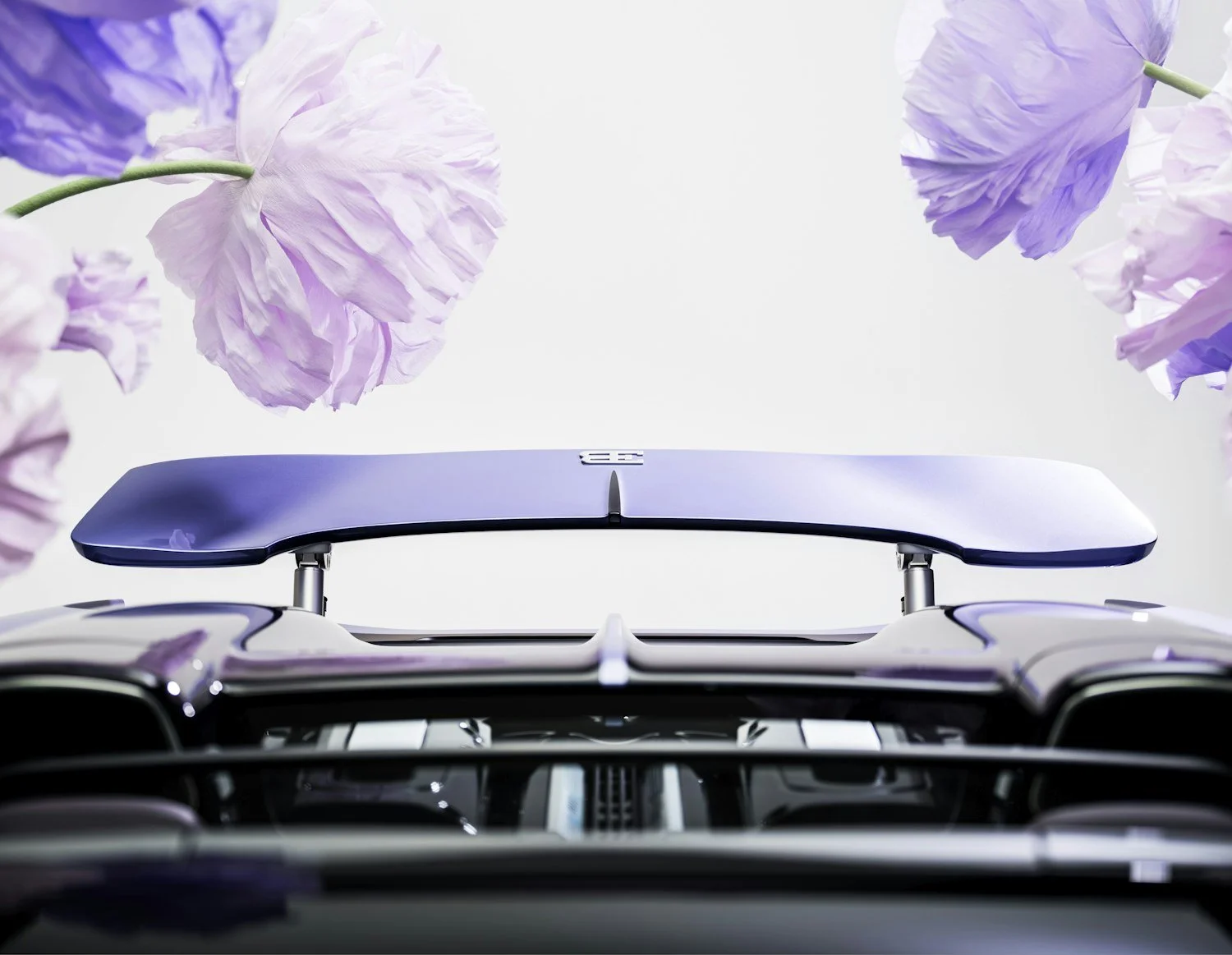 16 BUGATTI-Mistral-Sur-Mesure-Caroline.jpg