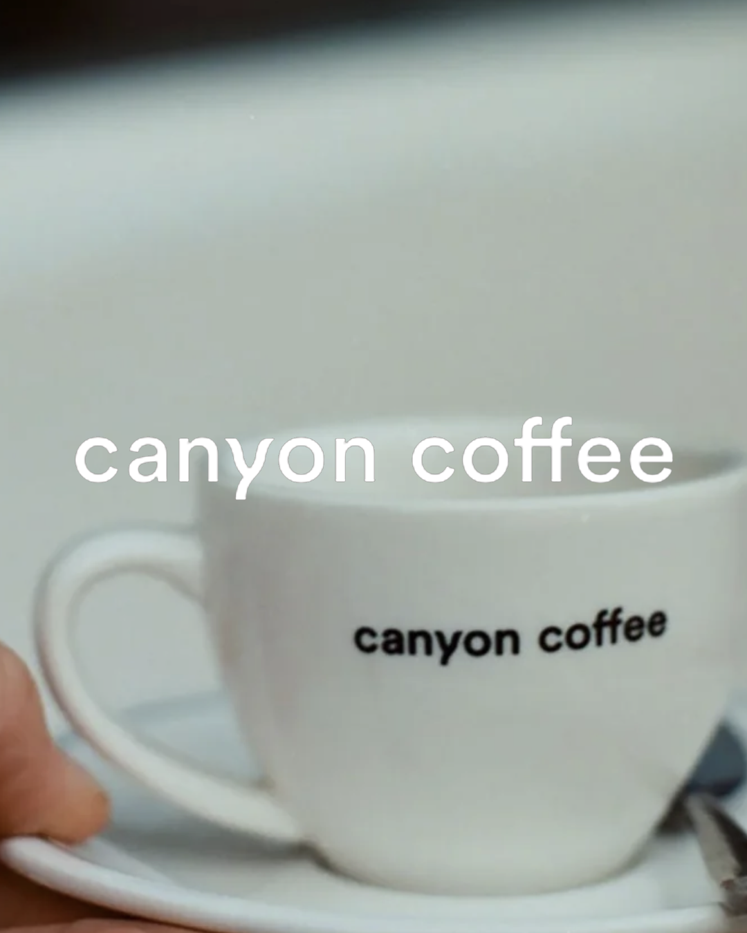 Web Portfolio Icon - Canyon.png