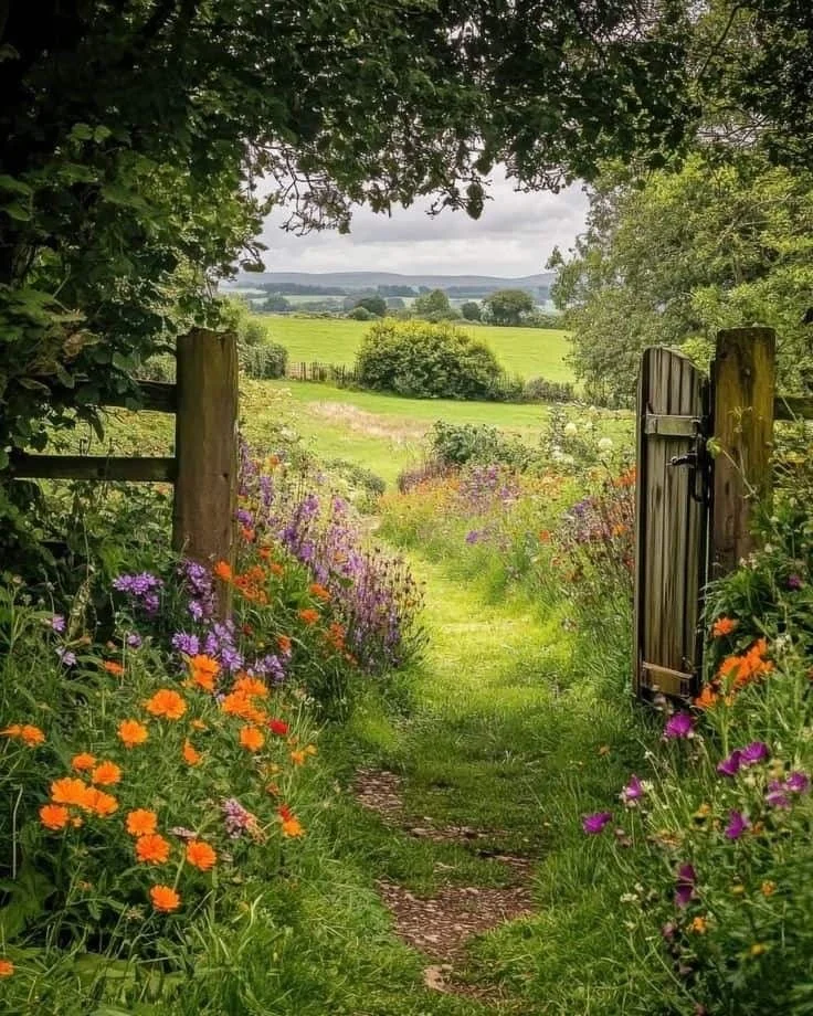 Un chemin de terre bordé de fleurs colorées mène à un champ vert avec des arbres et un paysage rural en arrière-plan, vu depuis une ouverture d'arbustes et une porte en bois.