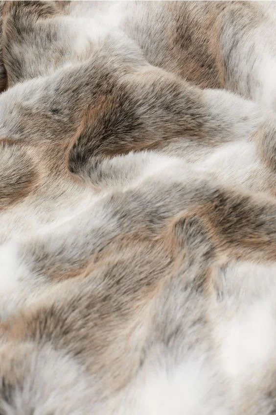Gros plan de fourrure d'un animal, probablement d'un chien ou d'un chat, avec des couleurs mélangées de blanc, gris et beige