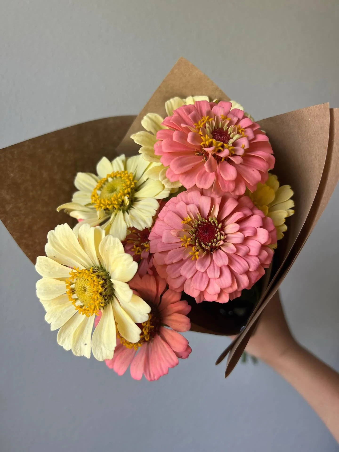 We are majorly overstocked in an abundance of pastel zinnias on the farm. If you need a little something to brighten up your home or gift to a friend (or teacher!) that lasts a long time in a vase, this is it!

Zinnia-only bouquets now available at o