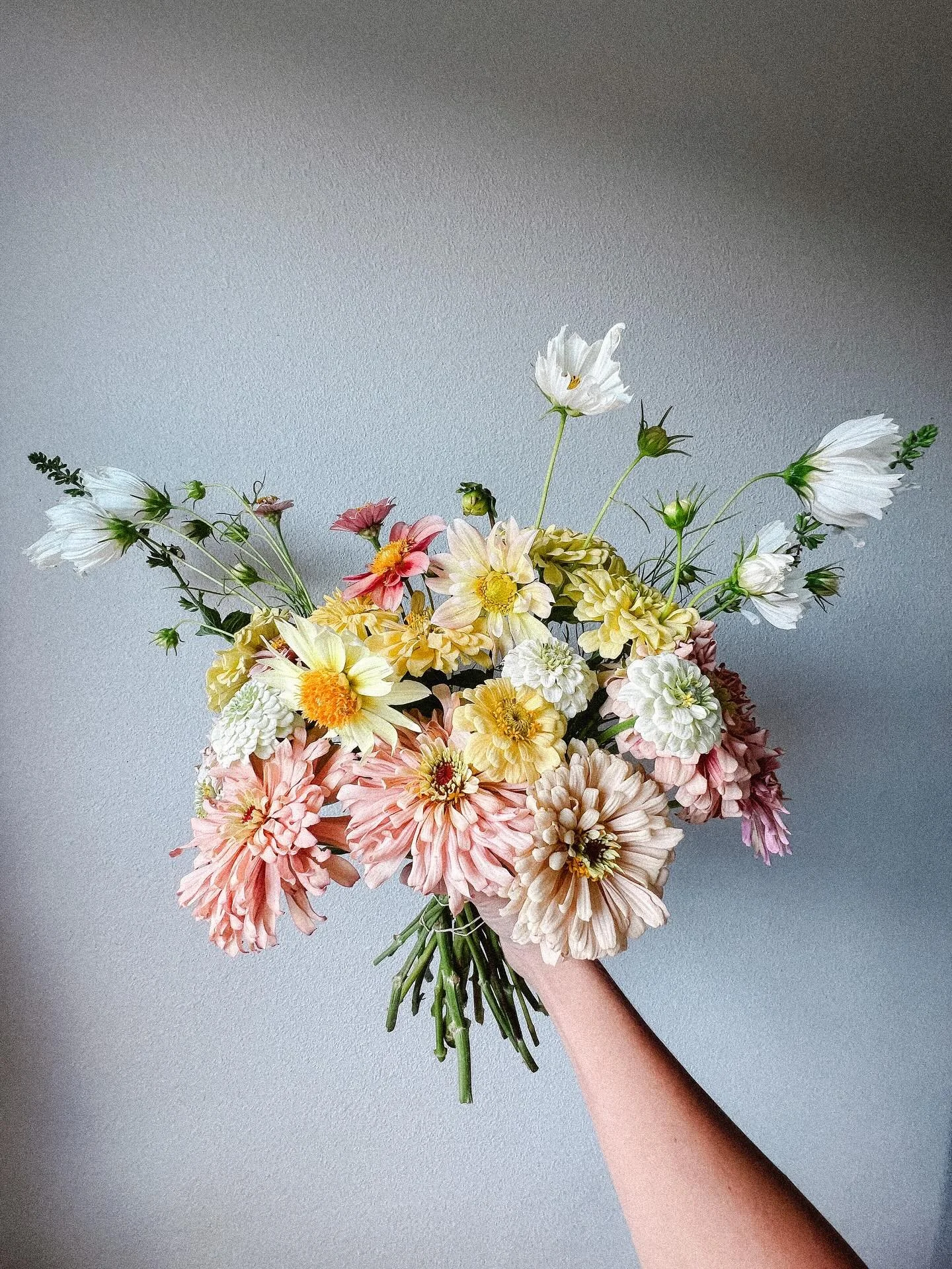 Soft yellow and peach English roses, decorative dahlias in brilliant fall hues, heirloom chrysanthemums that shine in rusty orange, blush and white. These are the focal flowers that we&rsquo;re nurturing for our autumn bouquet subscriptions (which op