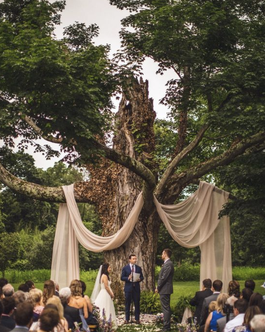 Screenshot 2025-03-16 at 7.43.55 PM.png