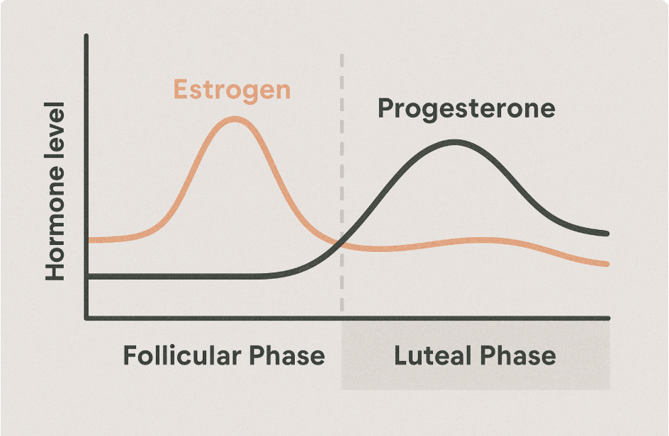 cycle.png