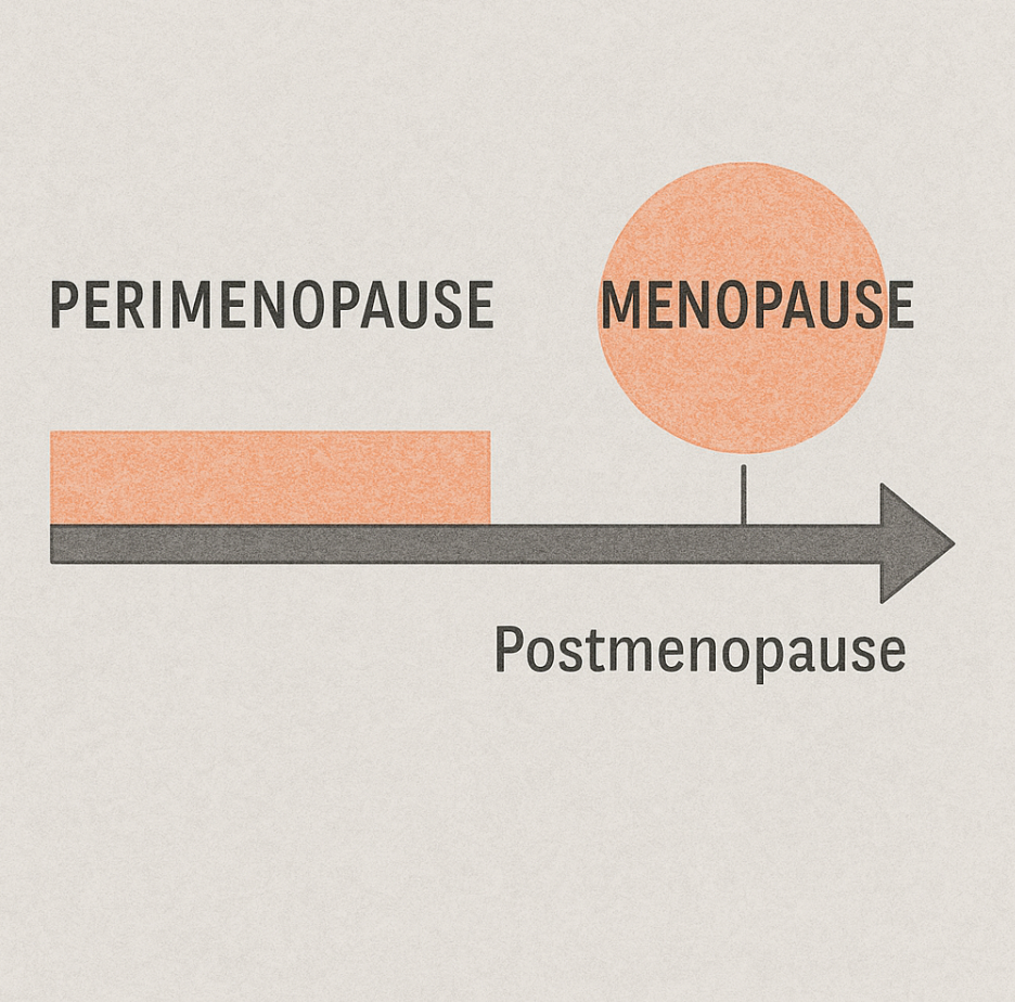 peri-menopause.png