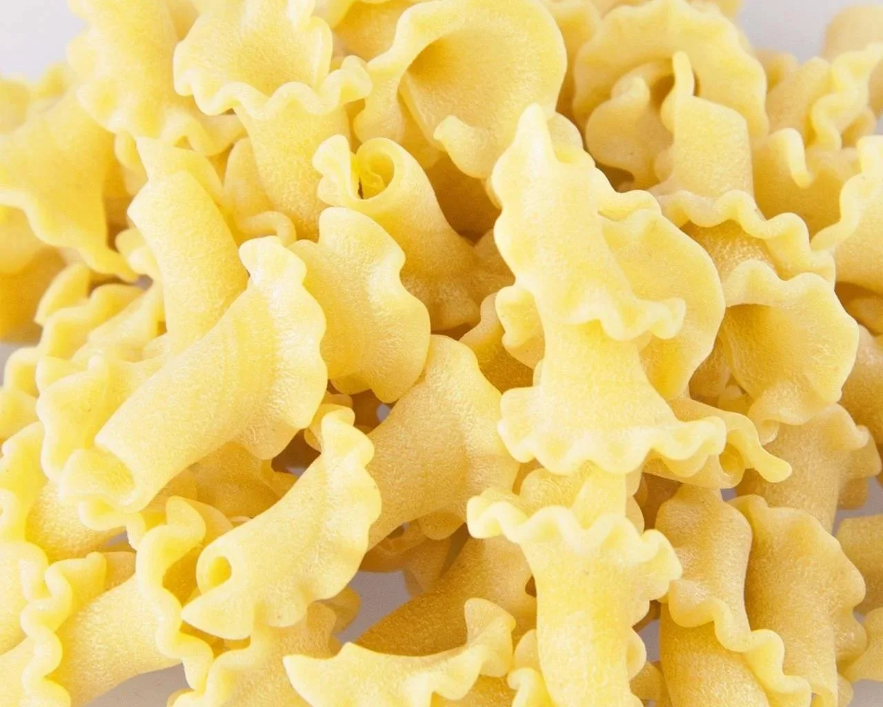 CampanelleWEBsite.jpg