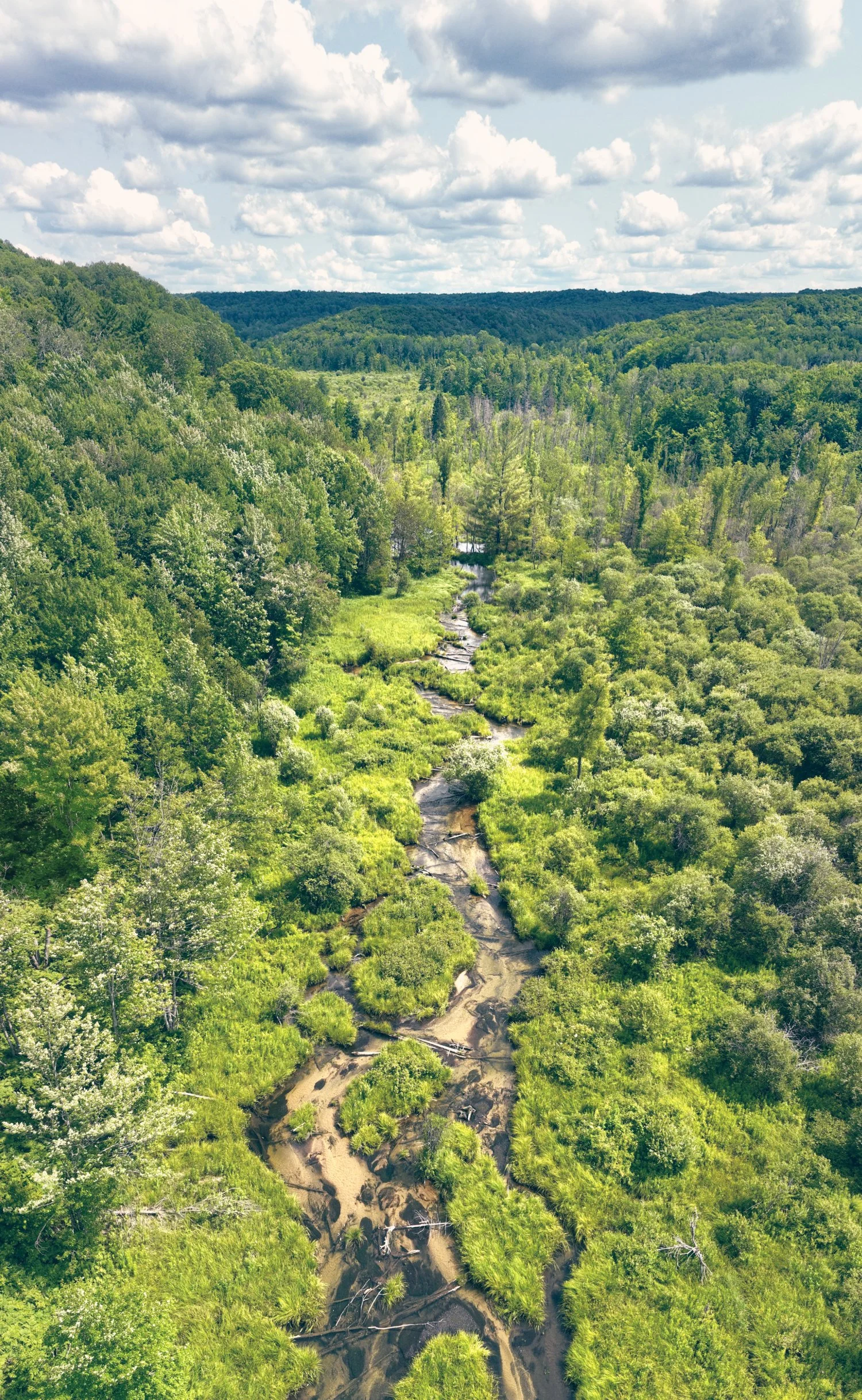 Aerial view of a lush green forest with a meandering stream running through it, under a partly cloudy sky in this drone photograph by James Manning titled "Verdant" taken in the Jordan Valley of Northern Michigan