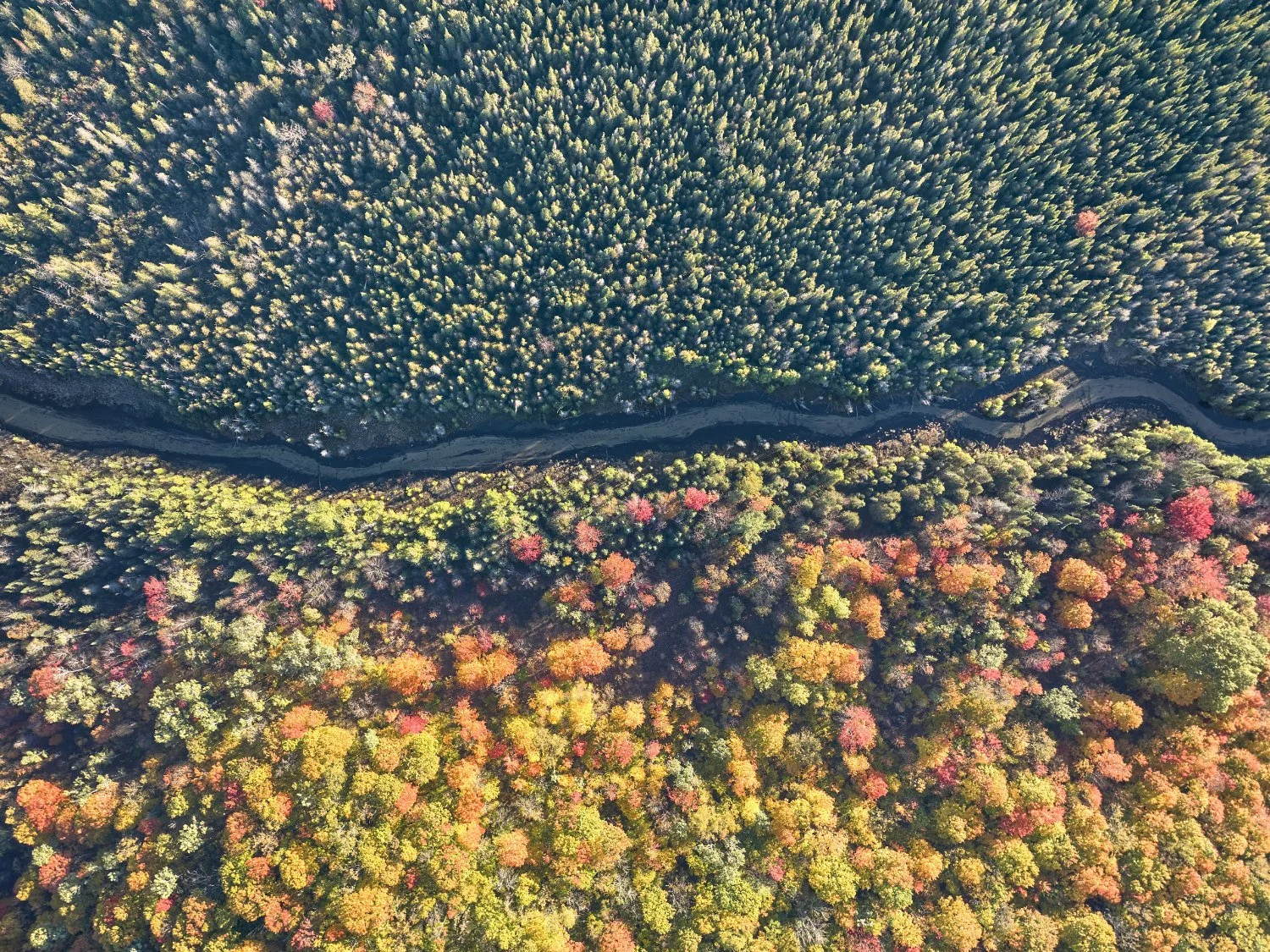 Color Shift Detail Shot.jpg